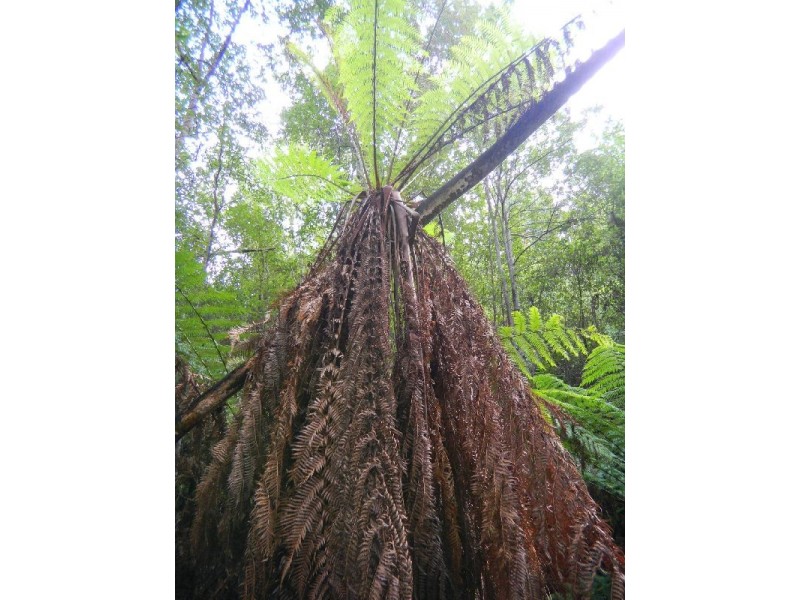 4895 Arthur Highway, Eaglehawk Neck TAS 7179