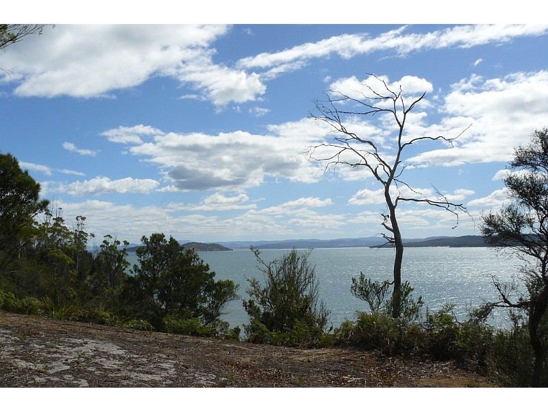100 Black Jack Road, Sloping Main TAS 7186