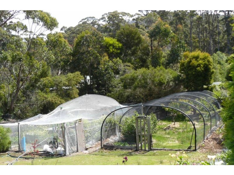 12 Osprey Road, Eaglehawk Neck TAS 7179