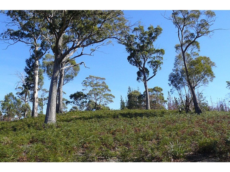 39 Hawker Street, Murdunna TAS 7178