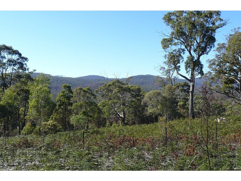 39 Hawker Street, Murdunna TAS 7178