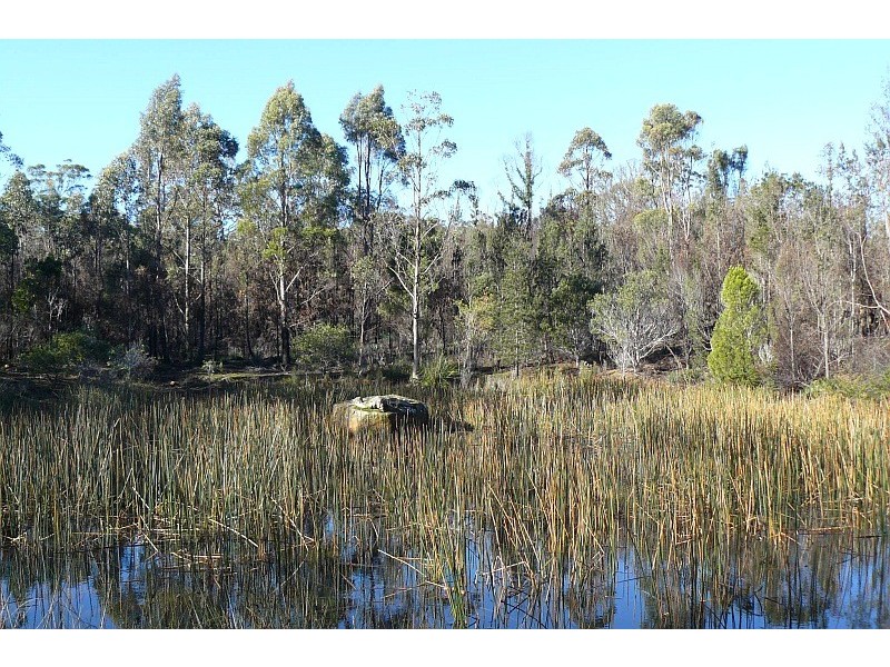 Lot 1 Arthur Highway, Murdunna TAS 7178