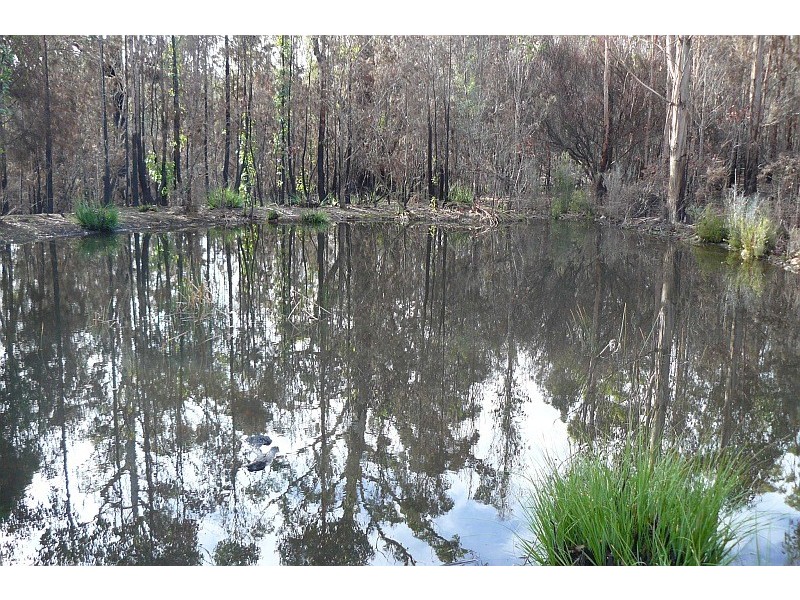 Lot 1 Arthur Highway, Murdunna TAS 7178