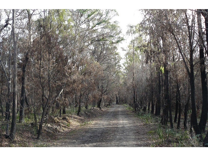 Lot 1 Arthur Highway, Murdunna TAS 7178