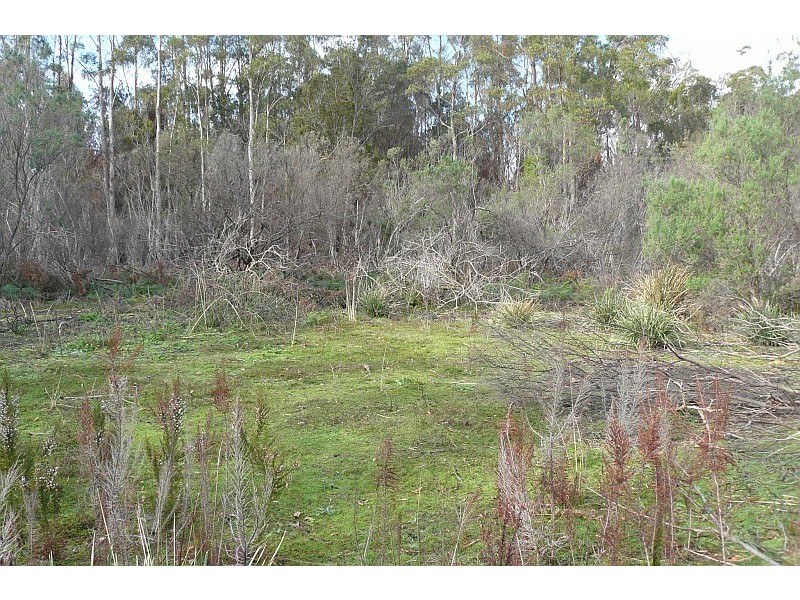 Lot 1 Arthur Highway, Murdunna TAS 7178