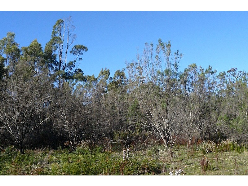 Lot 1 Arthur Highway, Murdunna TAS 7178