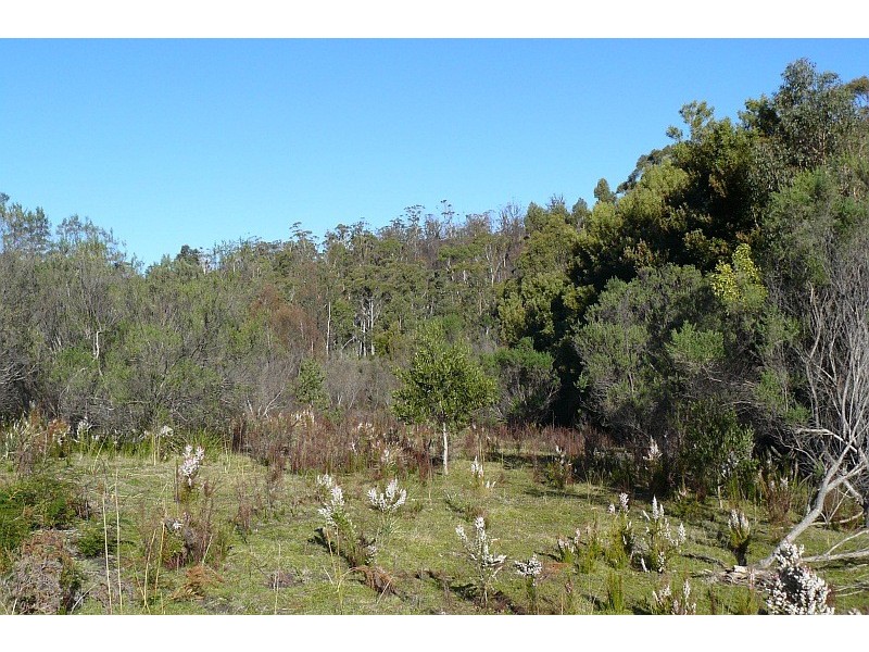 Lot 1 Arthur Highway, Murdunna TAS 7178
