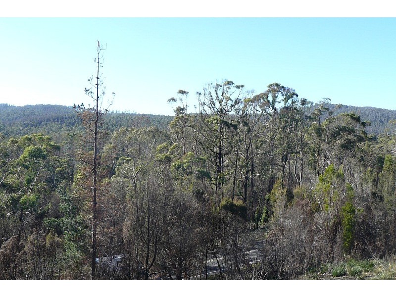 Lot 1 Arthur Highway, Murdunna TAS 7178