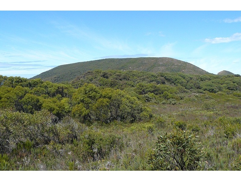 Lot 1/65 Dog Bark Road, Port Arthur TAS 7182