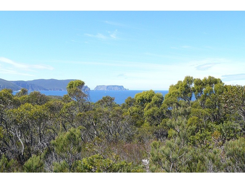 Lot 1/65 Dog Bark Road, Port Arthur TAS 7182