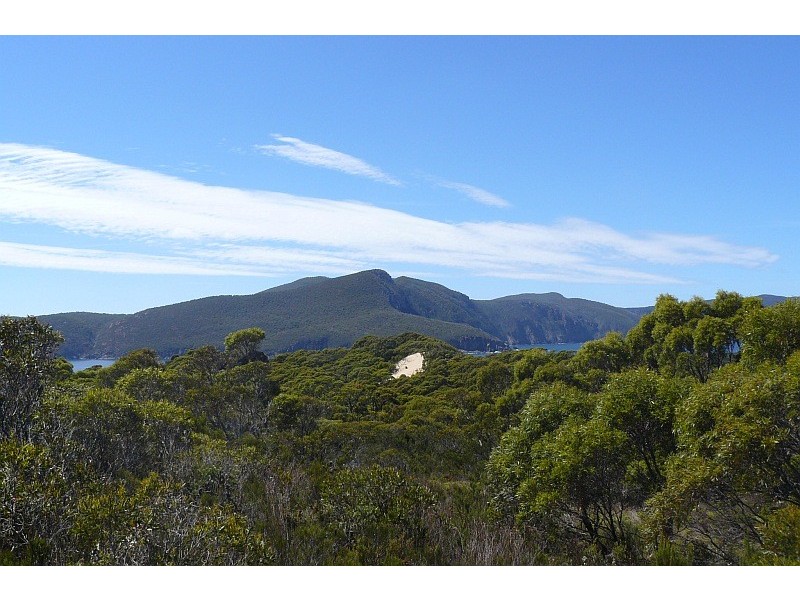 Lot 1/65 Dog Bark Road, Port Arthur TAS 7182