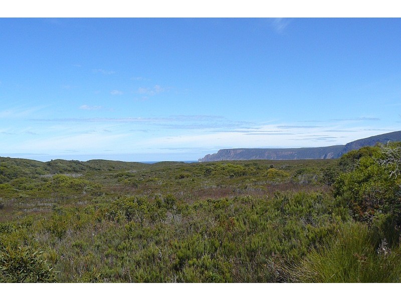 Lot 1/65 Dog Bark Road, Port Arthur TAS 7182