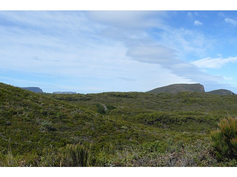 Lot 1/65 Dog Bark Road, Port Arthur TAS 7182