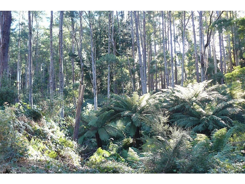 Lot 2/152 Robinsons Road, Highcroft TAS 7183