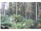 Lot 2/152 Robinsons Road, Highcroft TAS 7183