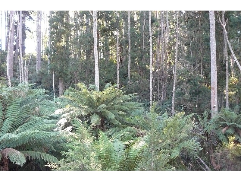 Lot 2/152 Robinsons Road, Highcroft TAS 7183