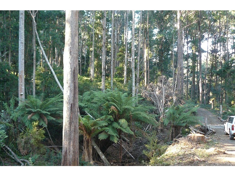 Lot 2/152 Robinsons Road, Highcroft TAS 7183