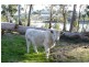 792 Nubeena Road, Premaydena TAS 7185