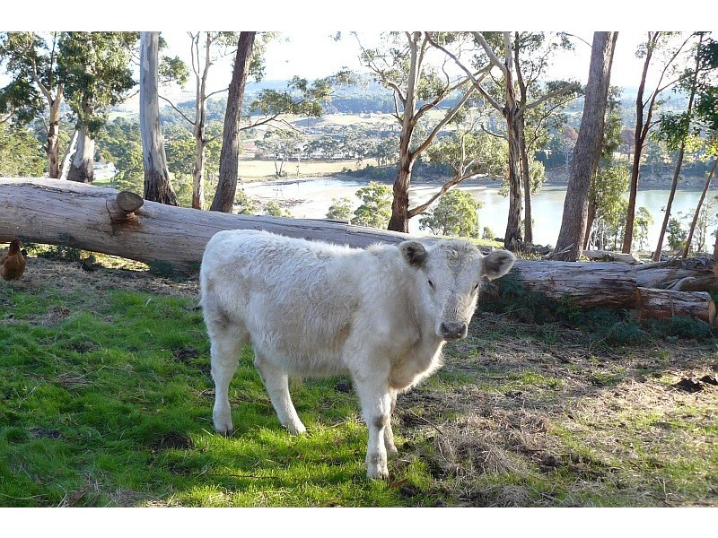 792 Nubeena Road, Premaydena TAS 7185