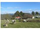 48 Fourfoot Road, Geeveston TAS 7116