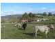 48 Fourfoot Road, Geeveston TAS 7116