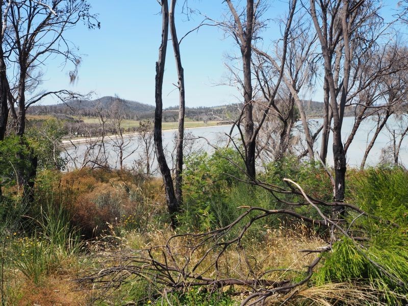 9 – 11 Spotswood Road, Dunalley TAS 7177