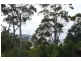 14 Richardsons Drive, Eaglehawk Neck TAS 7179