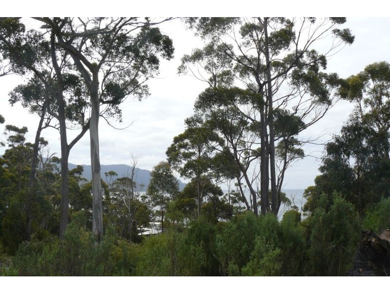 14 Richardsons Drive, Eaglehawk Neck TAS 7179