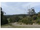 14 Richardsons Drive, Eaglehawk Neck TAS 7179