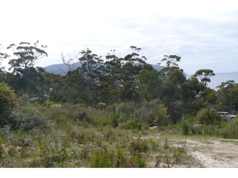 14 Richardsons Drive, Eaglehawk Neck TAS 7179
