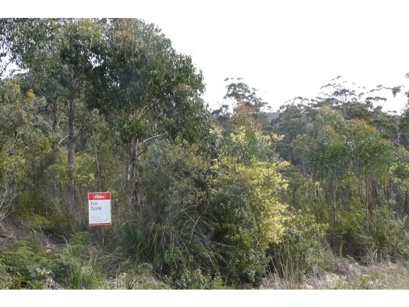 14 Richardsons Drive, Eaglehawk Neck TAS 7179