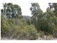 14 Richardsons Drive, Eaglehawk Neck TAS 7179