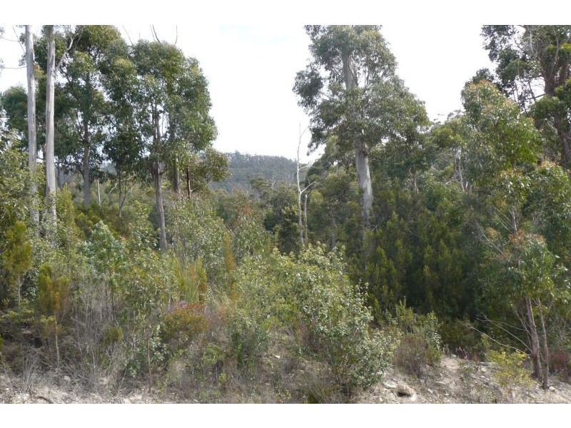 14 Richardsons Drive, Eaglehawk Neck TAS 7179