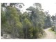 14 Richardsons Drive, Eaglehawk Neck TAS 7179