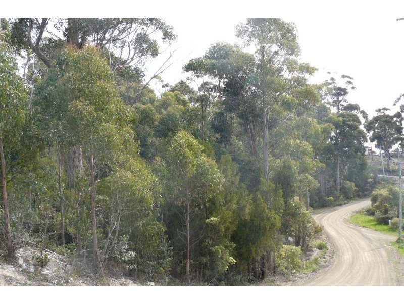 14 Richardsons Drive, Eaglehawk Neck TAS 7179