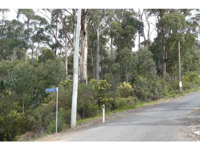 14 Richardsons Drive, Eaglehawk Neck TAS 7179