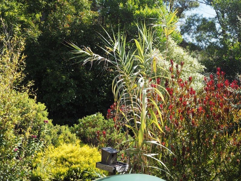 5529 Arthur Highway, Eaglehawk Neck TAS 7179
