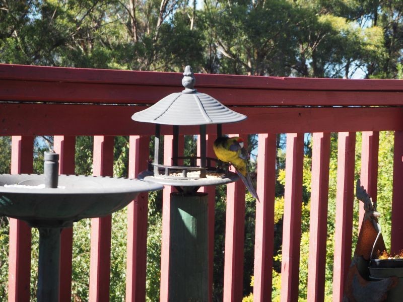 5529 Arthur Highway, Eaglehawk Neck TAS 7179