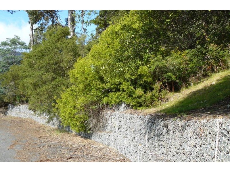 8 Hawks Lane, Eaglehawk Neck TAS 7179