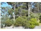 8 Hawks Lane, Eaglehawk Neck TAS 7179
