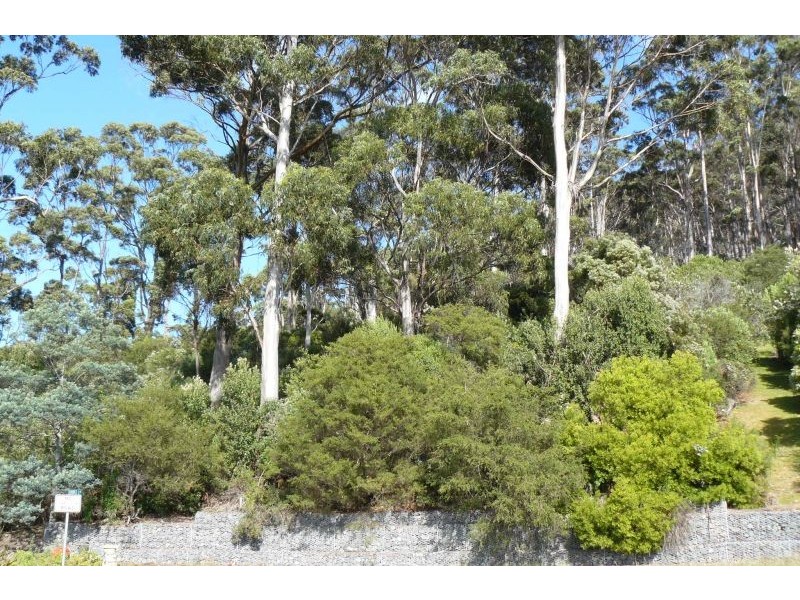 8 Hawks Lane, Eaglehawk Neck TAS 7179