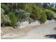8 Hawks Lane, Eaglehawk Neck TAS 7179