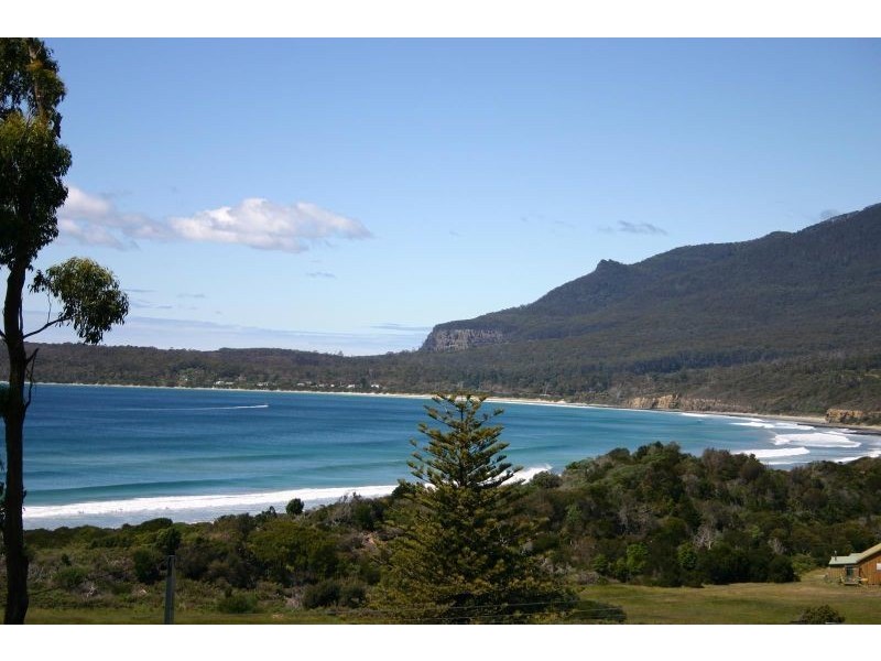 8 Hawks Lane, Eaglehawk Neck TAS 7179