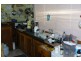 5121 Arthur Highway, Eaglehawk Neck TAS 7179
