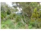 5121 Arthur Highway, Eaglehawk Neck TAS 7179