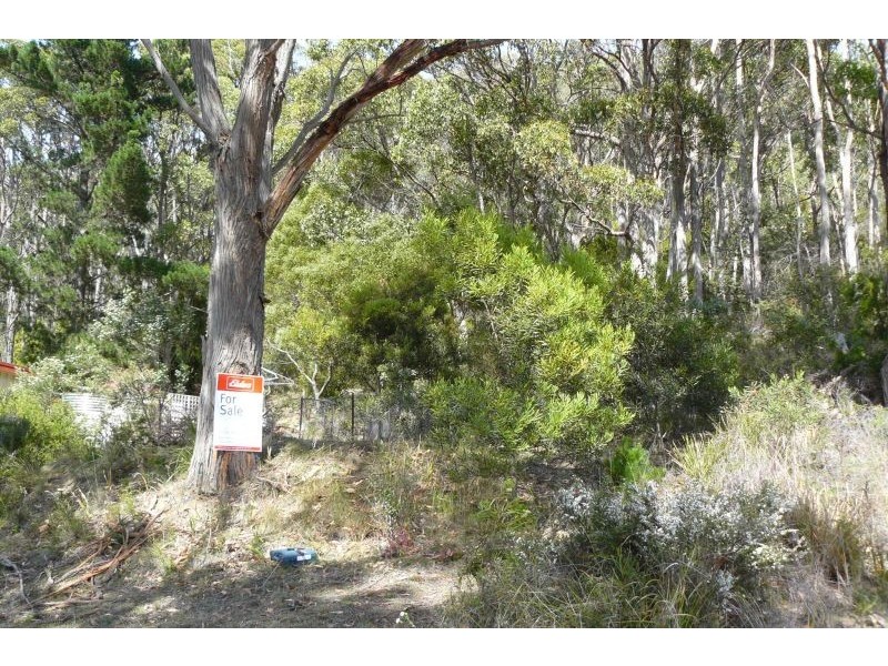 Lots 4 and 6/80 Blowhole Road, Eaglehawk Neck TAS 7179