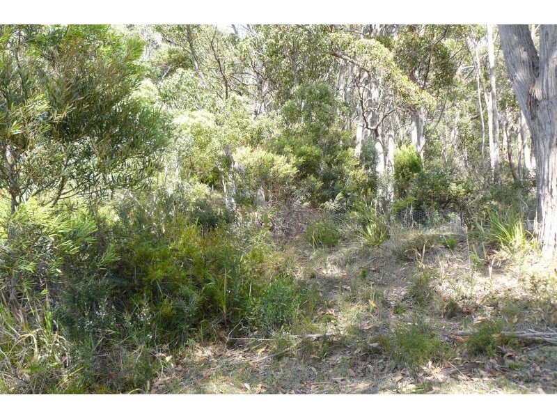 Lots 4 and 6/80 Blowhole Road, Eaglehawk Neck TAS 7179