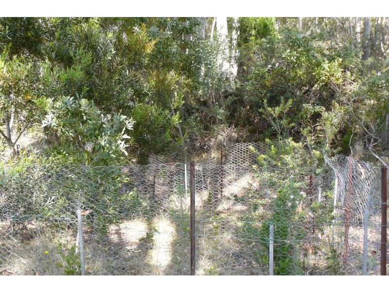 Lots 4 and 6/80 Blowhole Road, Eaglehawk Neck TAS 7179