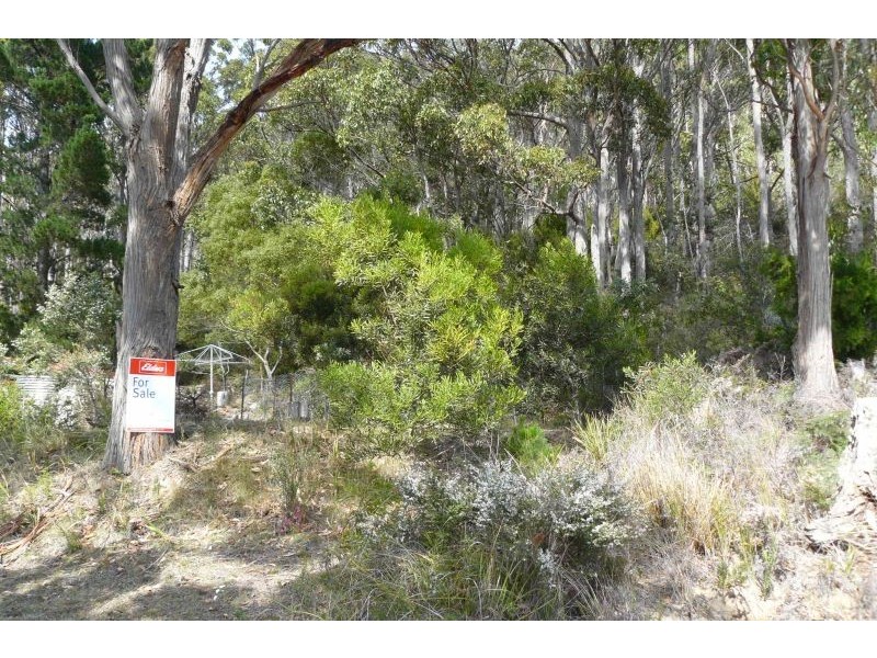 Lots 4 and 6/80 Blowhole Road, Eaglehawk Neck TAS 7179