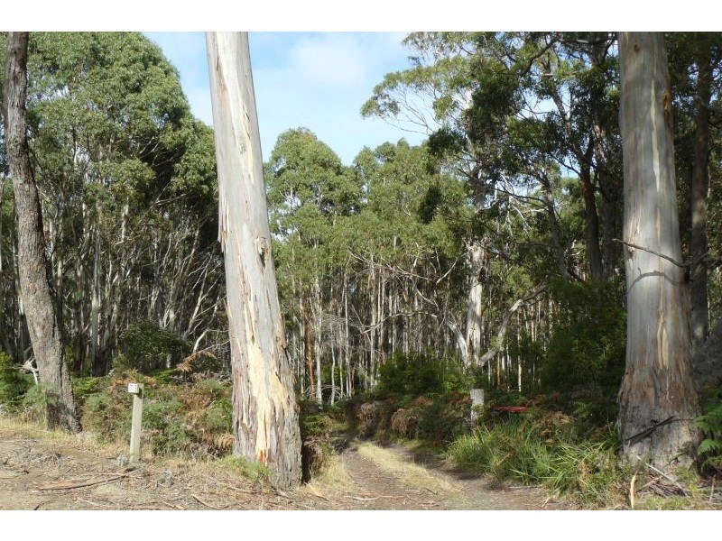 711 Nubeena Back Road, Koonya TAS 7187